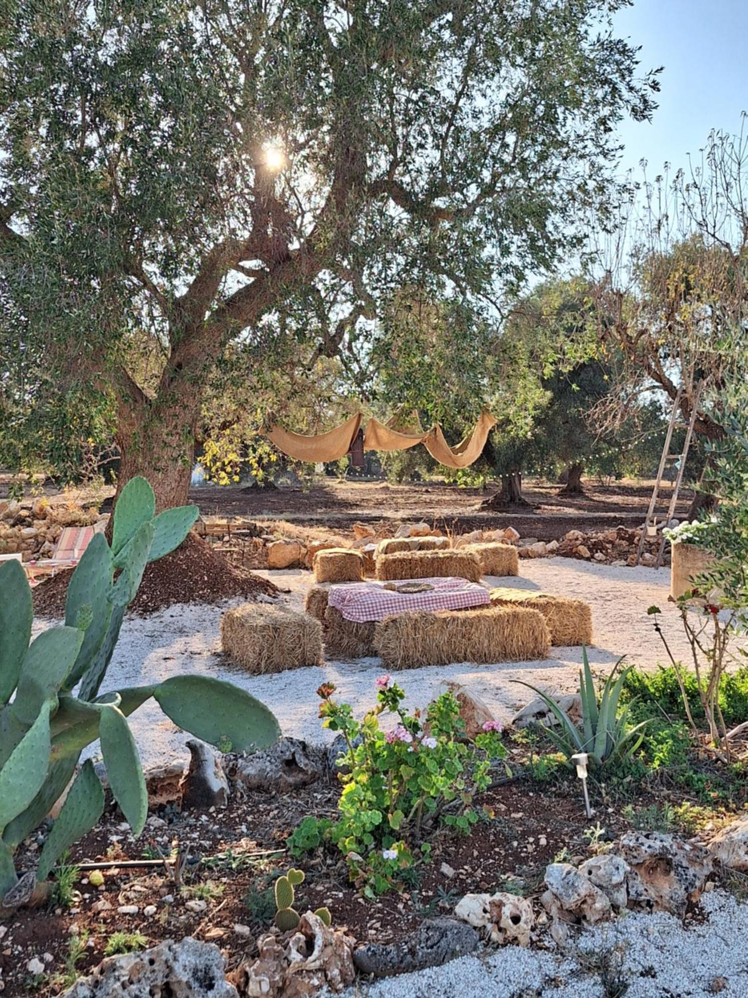 Residenza Anima Mediterranea فرانكافيلا فونتانا المظهر الخارجي الصورة