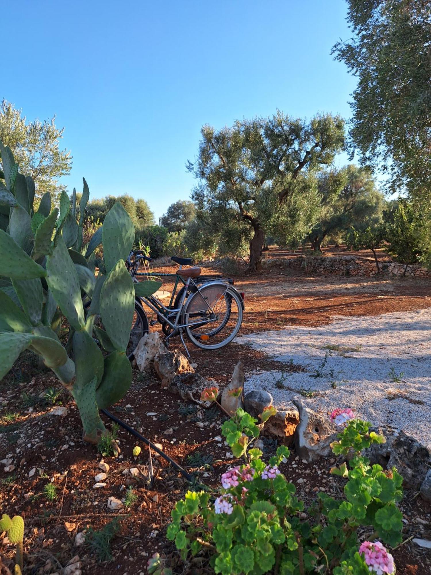 Residenza Anima Mediterranea فرانكافيلا فونتانا المظهر الخارجي الصورة
