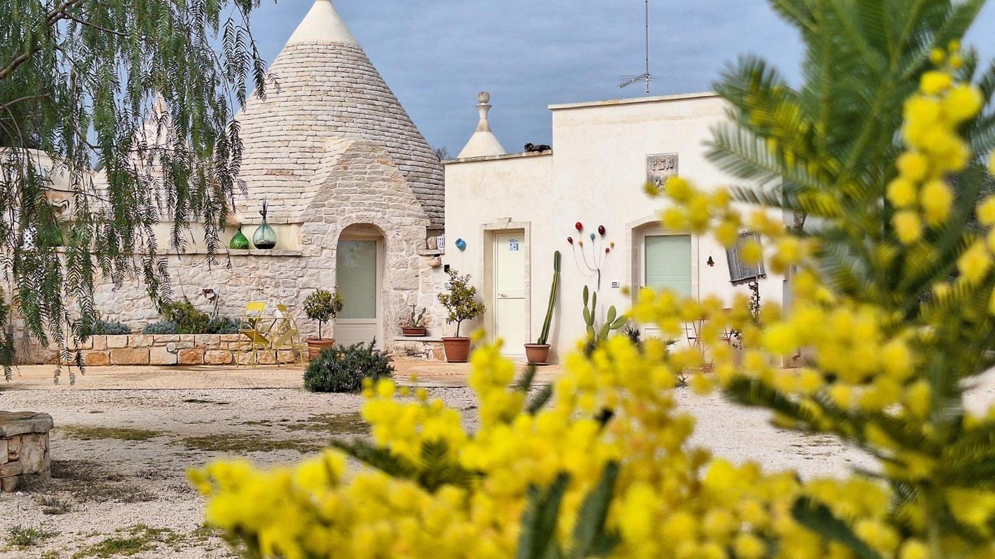 Residenza Anima Mediterranea فرانكافيلا فونتانا المظهر الخارجي الصورة